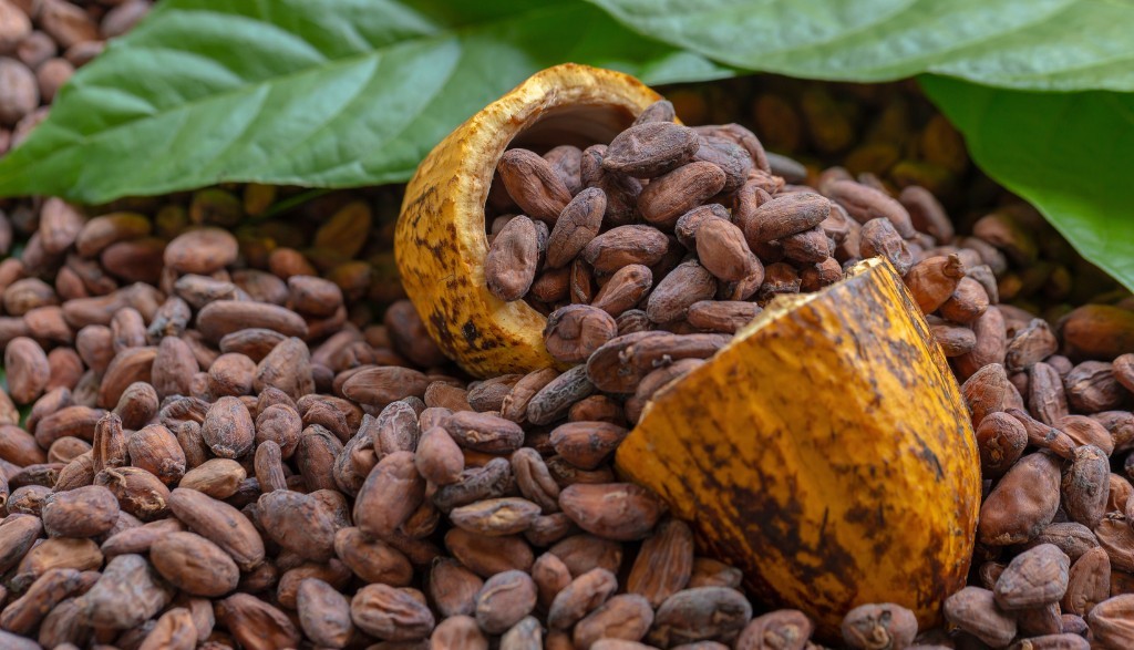 LA SUBIDA DEL PRECIO DEL CACAO