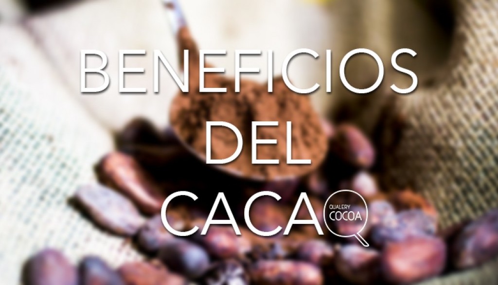 Fabricación, propiedades y beneficios del cacao