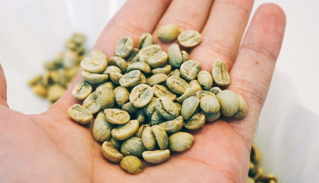 Café en verde, ¿qué es y qué beneficios te puede aportar?