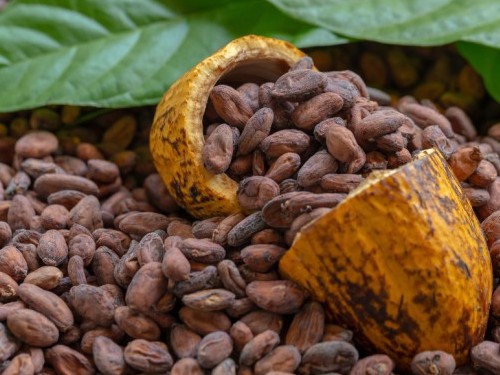 LA SUBIDA DEL PRECIO DEL CACAO