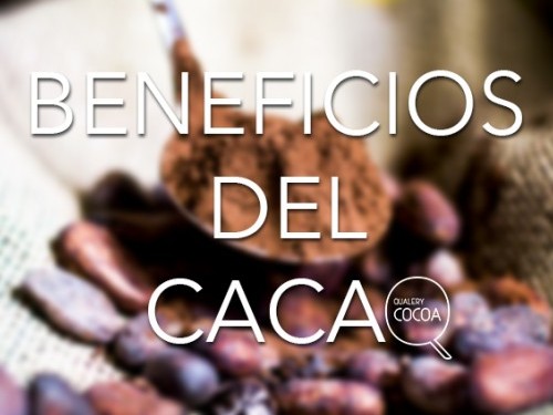 Fabricación, propiedades y beneficios del cacao