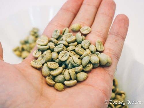 Café en verde, ¿qué es y qué beneficios te puede aportar?